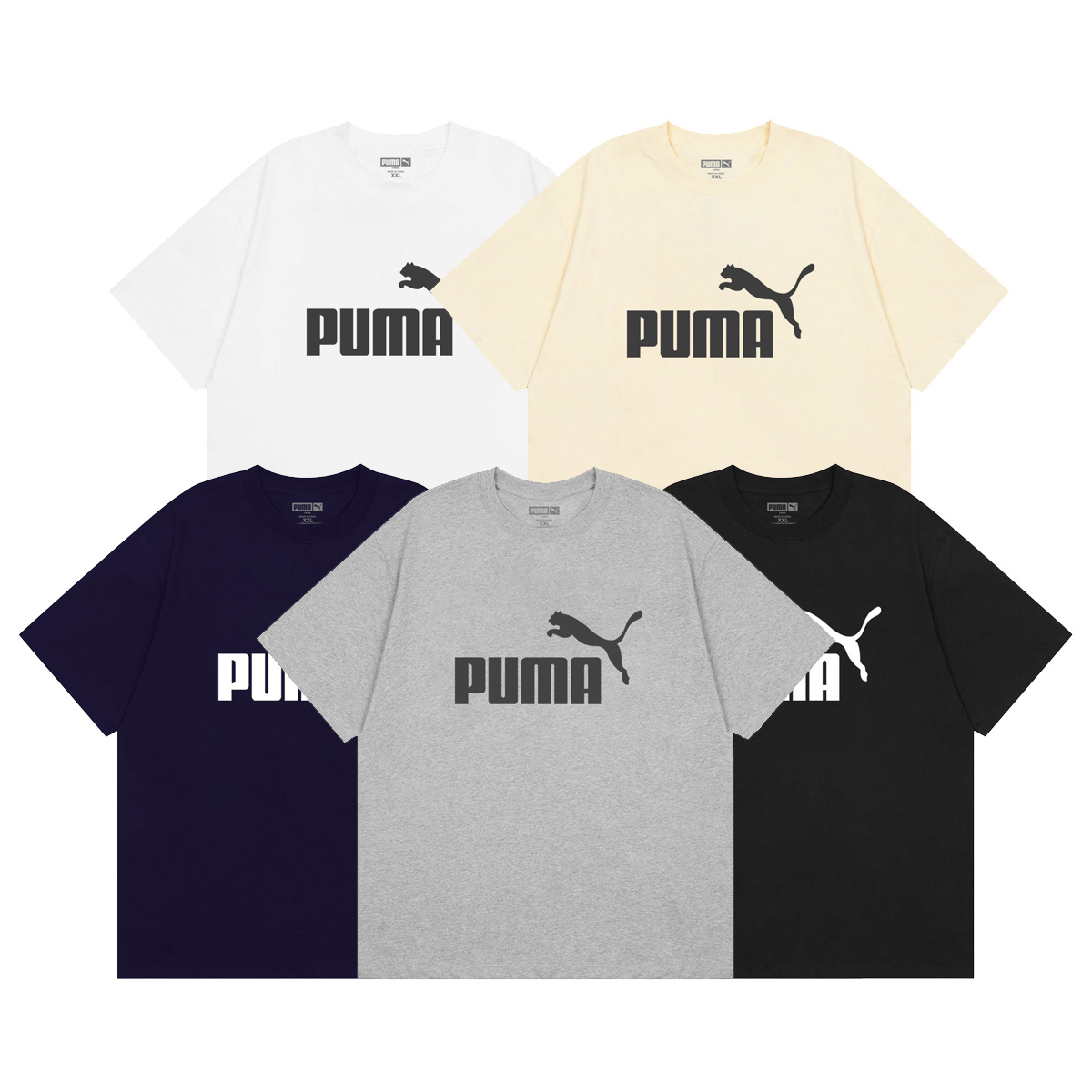 PM8 · cover