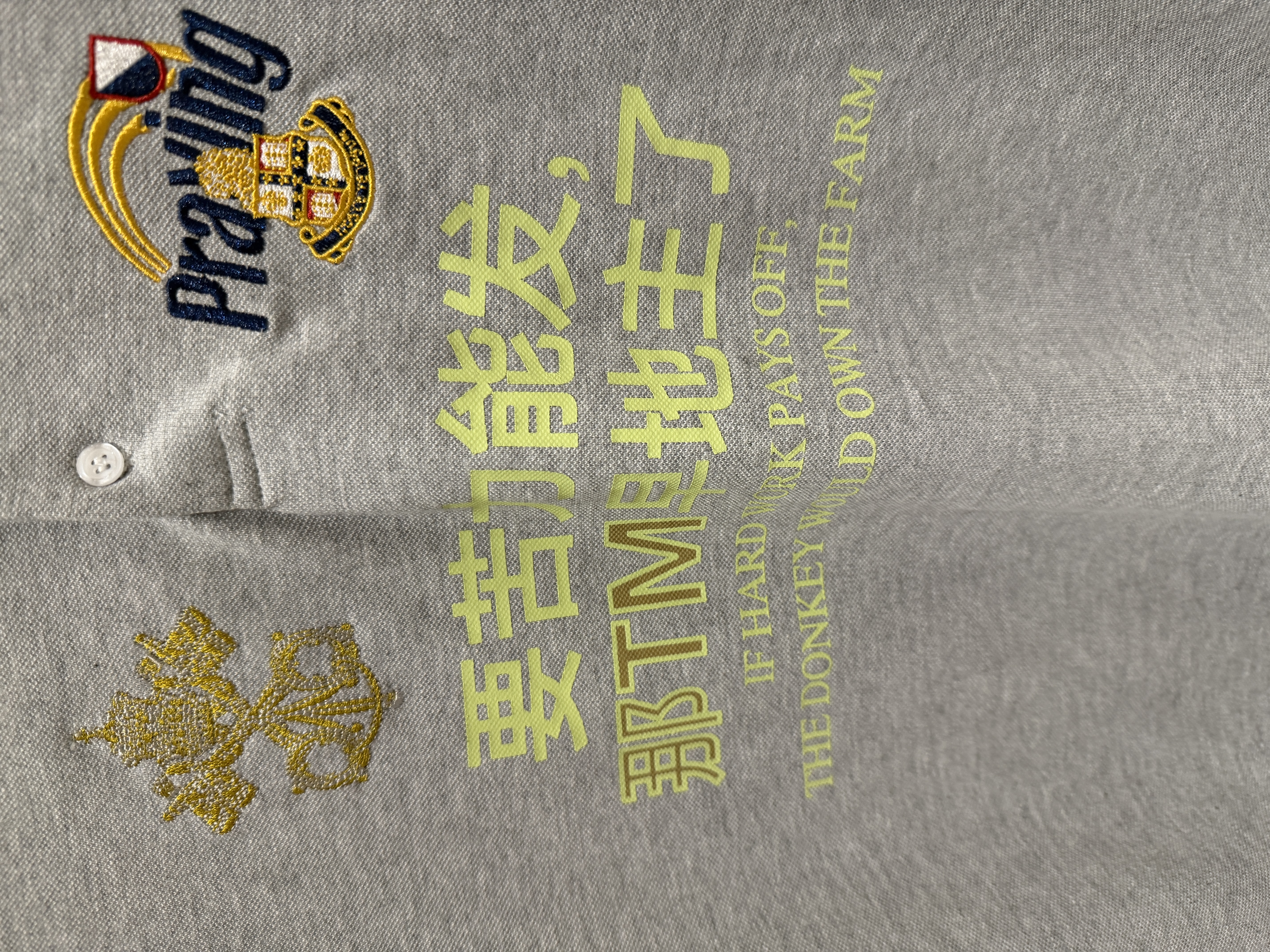 676-6# praying 苦力标语刺绣翻领Polo短袖中文趣味短款T恤y2k · image 12