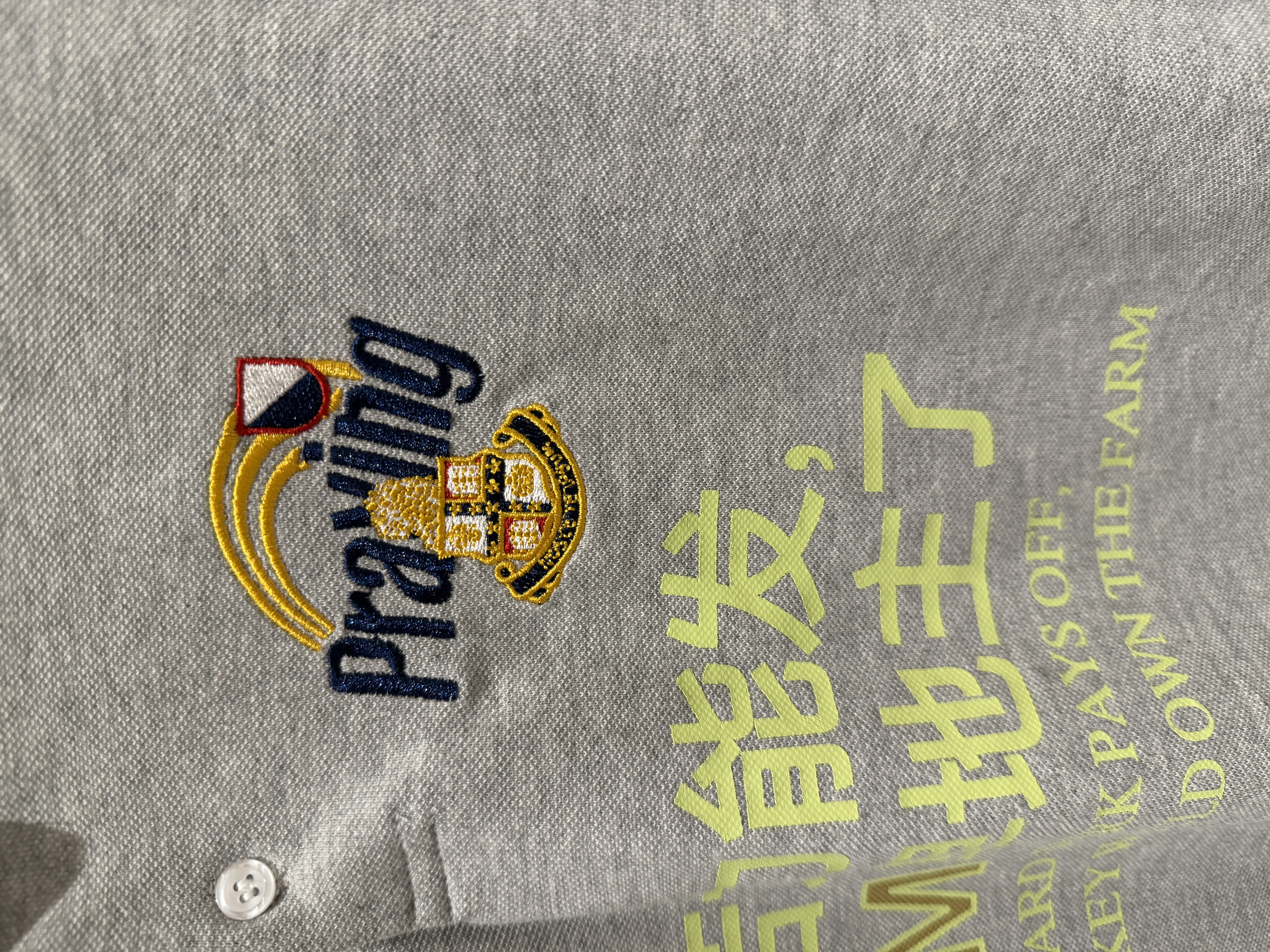 676-6# praying 苦力标语刺绣翻领Polo短袖中文趣味短款T恤y2k · image 13