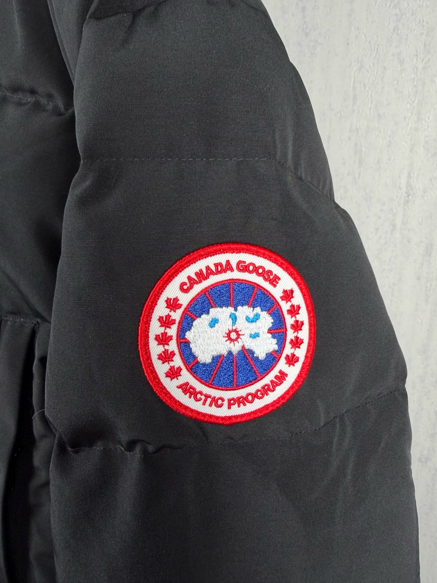 LZY18   Canada Goose  大鹅29 · image 5