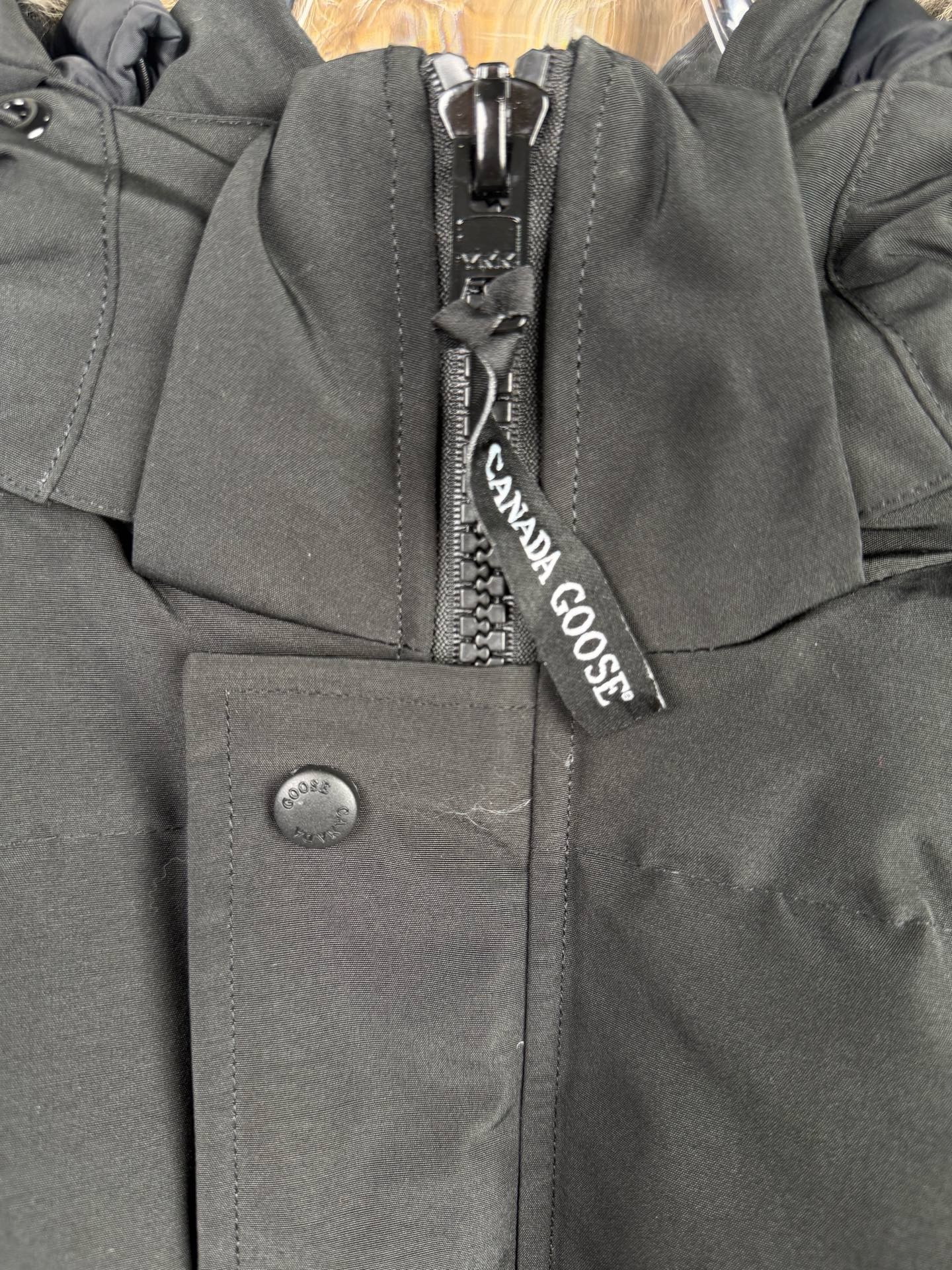 LZY18   Canada Goose  大鹅29 · image 6