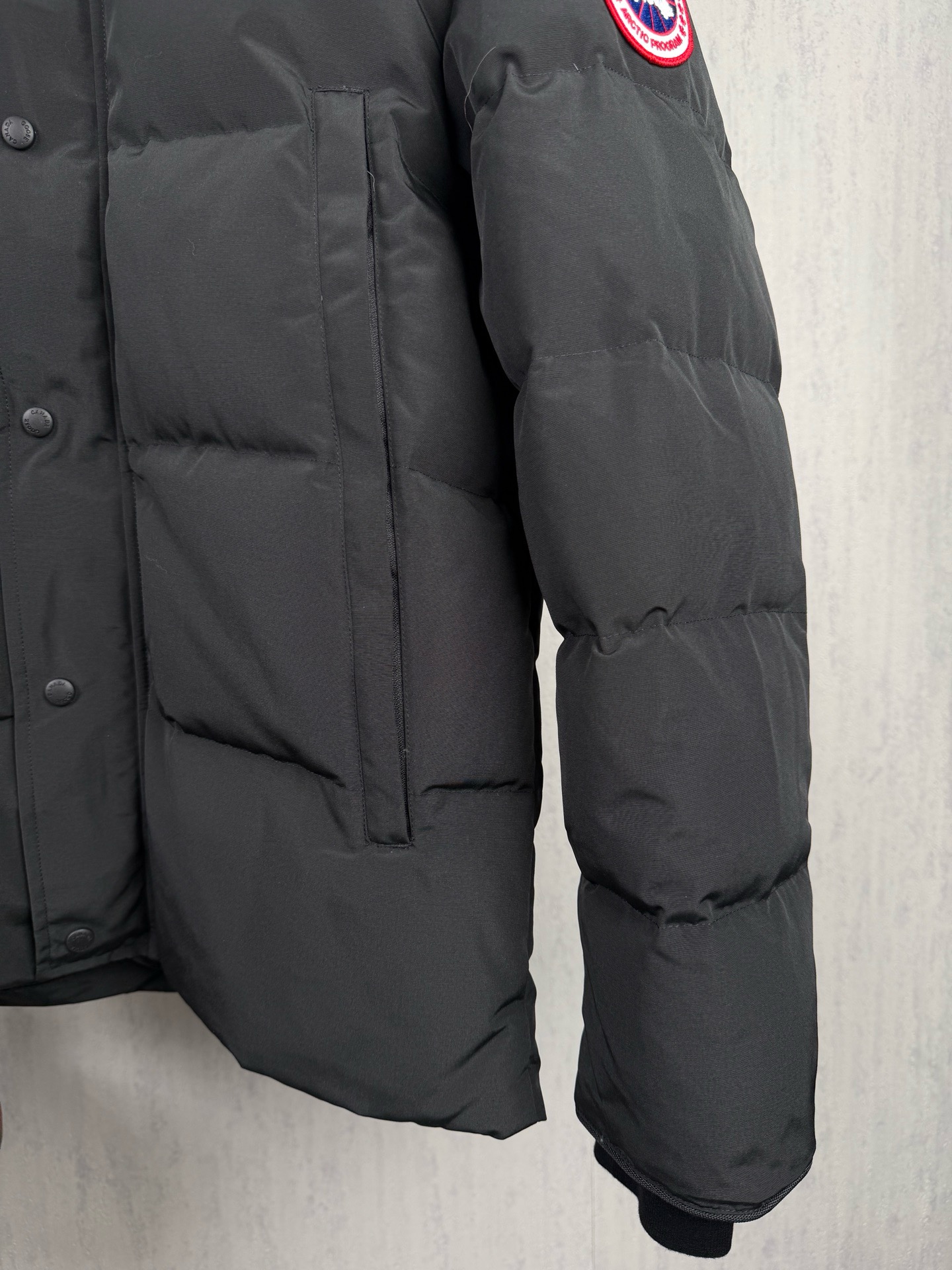LZY18   Canada Goose  大鹅29 · image 8
