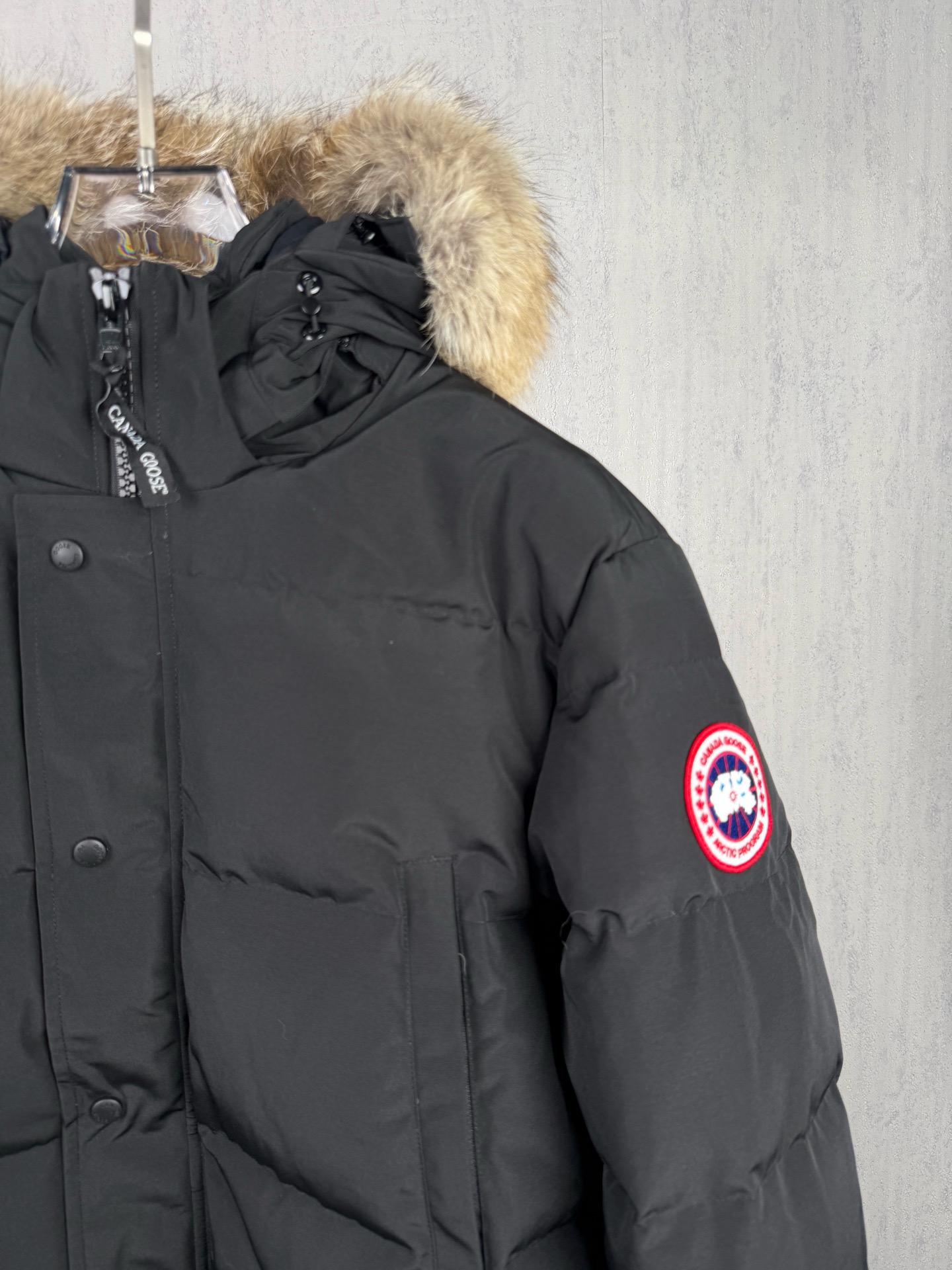 LZY18   Canada Goose  大鹅29 · image 9