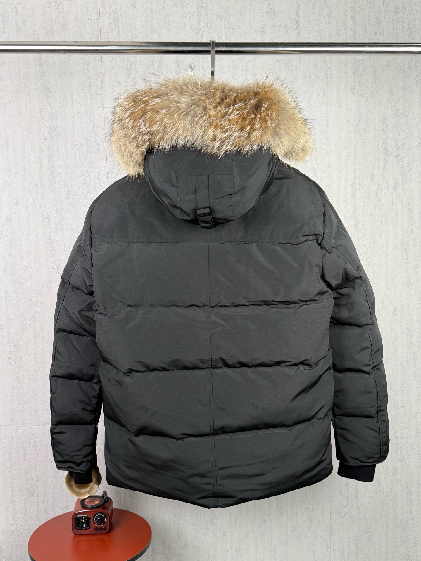 LZY18   Canada Goose  大鹅29 · image 12