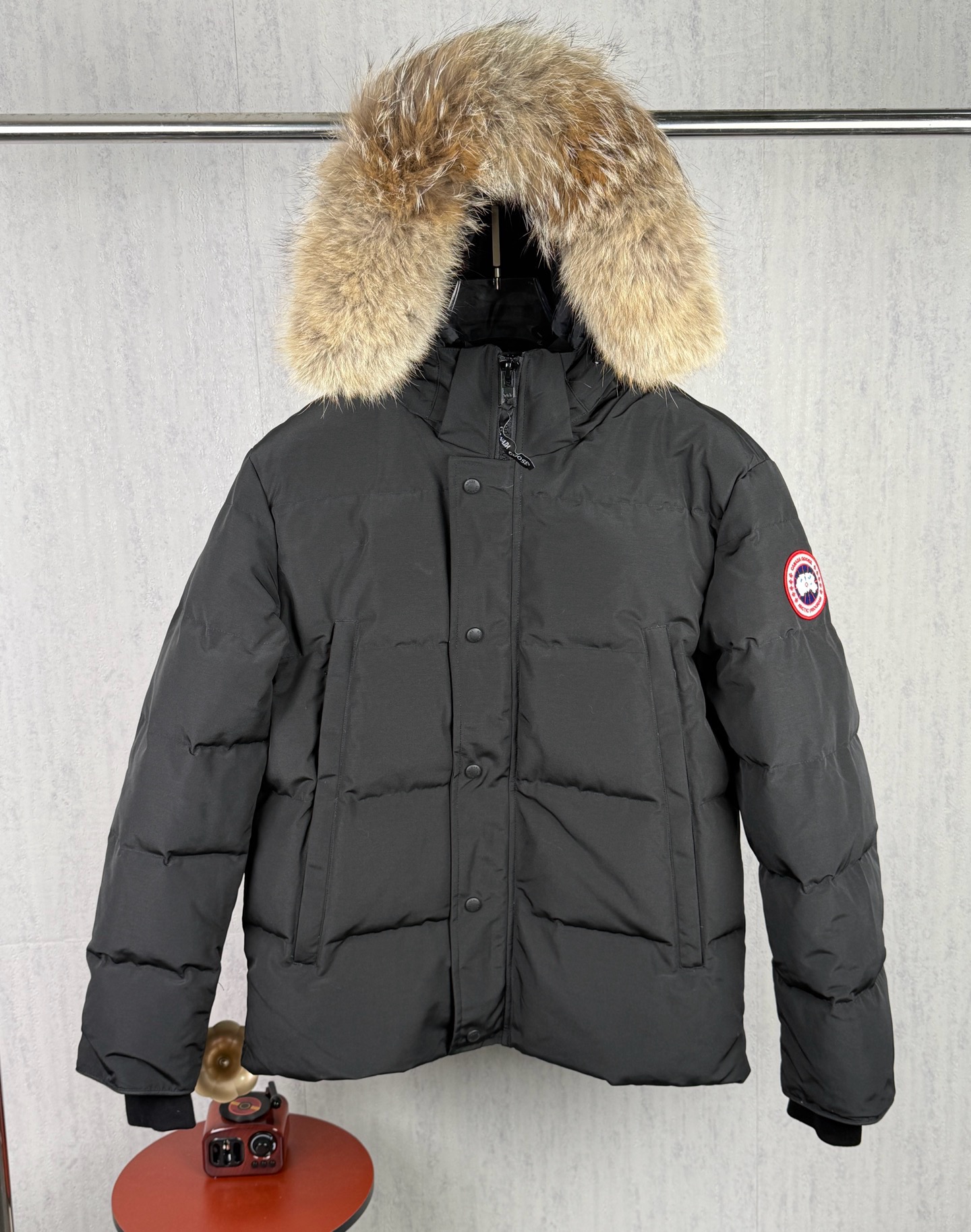 LZY18   Canada Goose  大鹅29 · cover