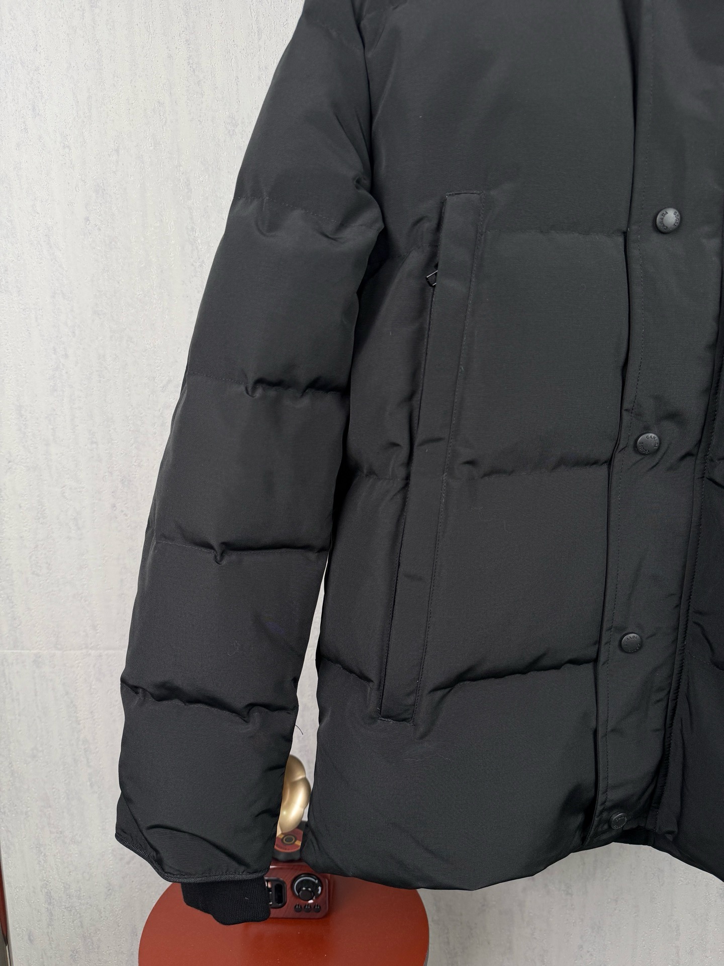 LZY19  Canada goose 大鹅29 · image 6