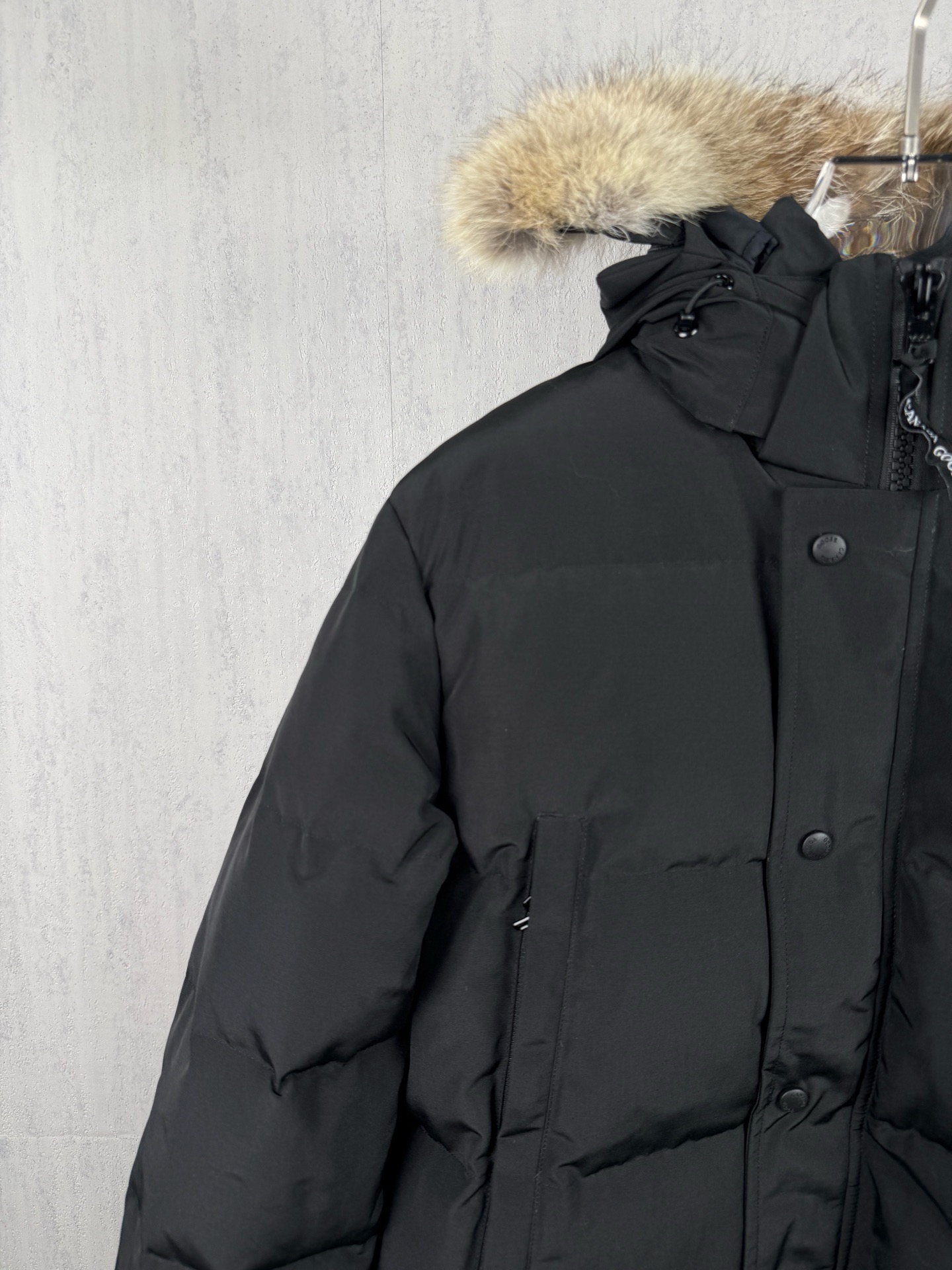 LZY19  Canada goose 大鹅29 · image 7