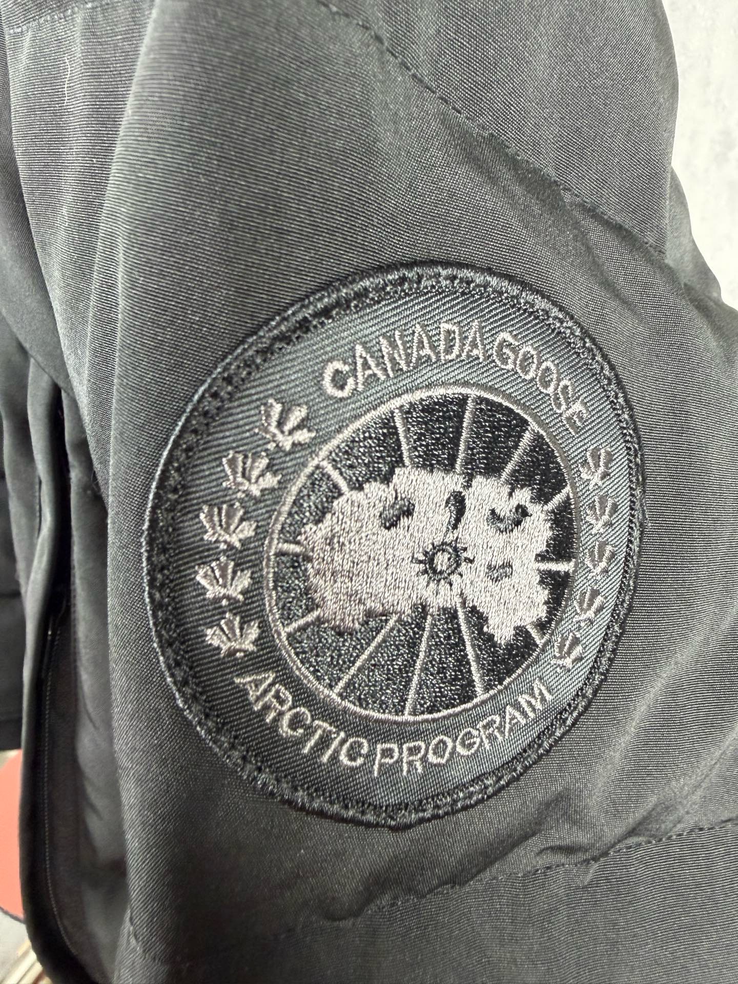 LZY19  Canada goose 大鹅29 · image 8