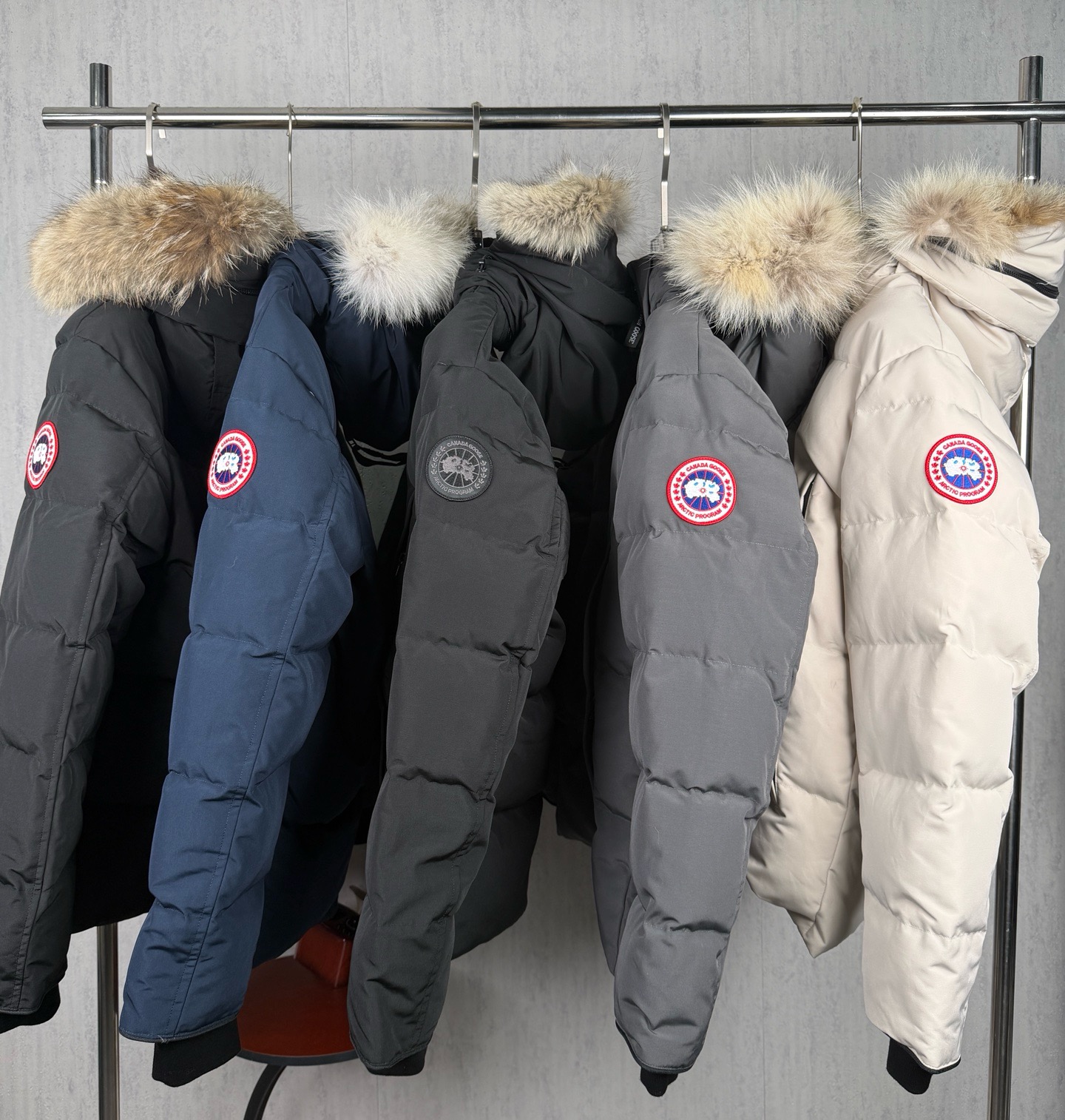 LZY19  Canada goose 大鹅29 · image 9