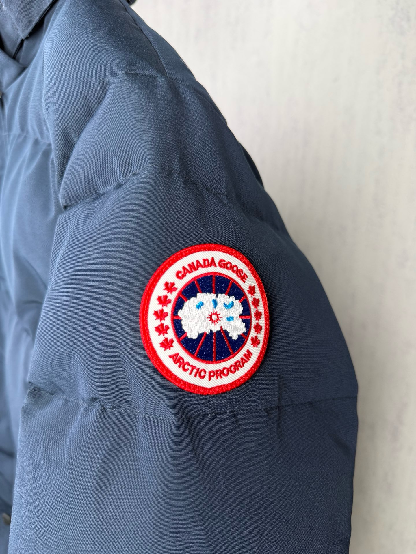LZY20  Canada goose 大鹅29 · image 6