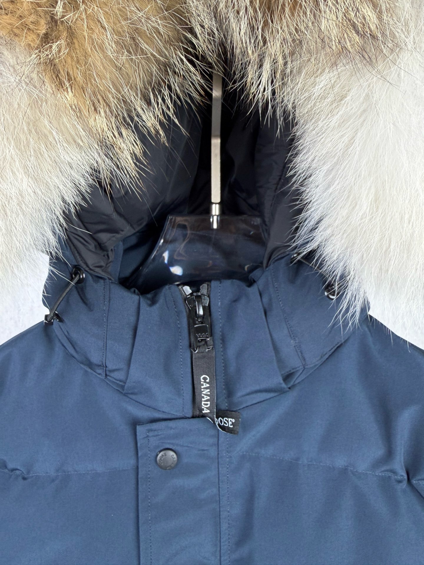 LZY20  Canada goose 大鹅29 · image 7