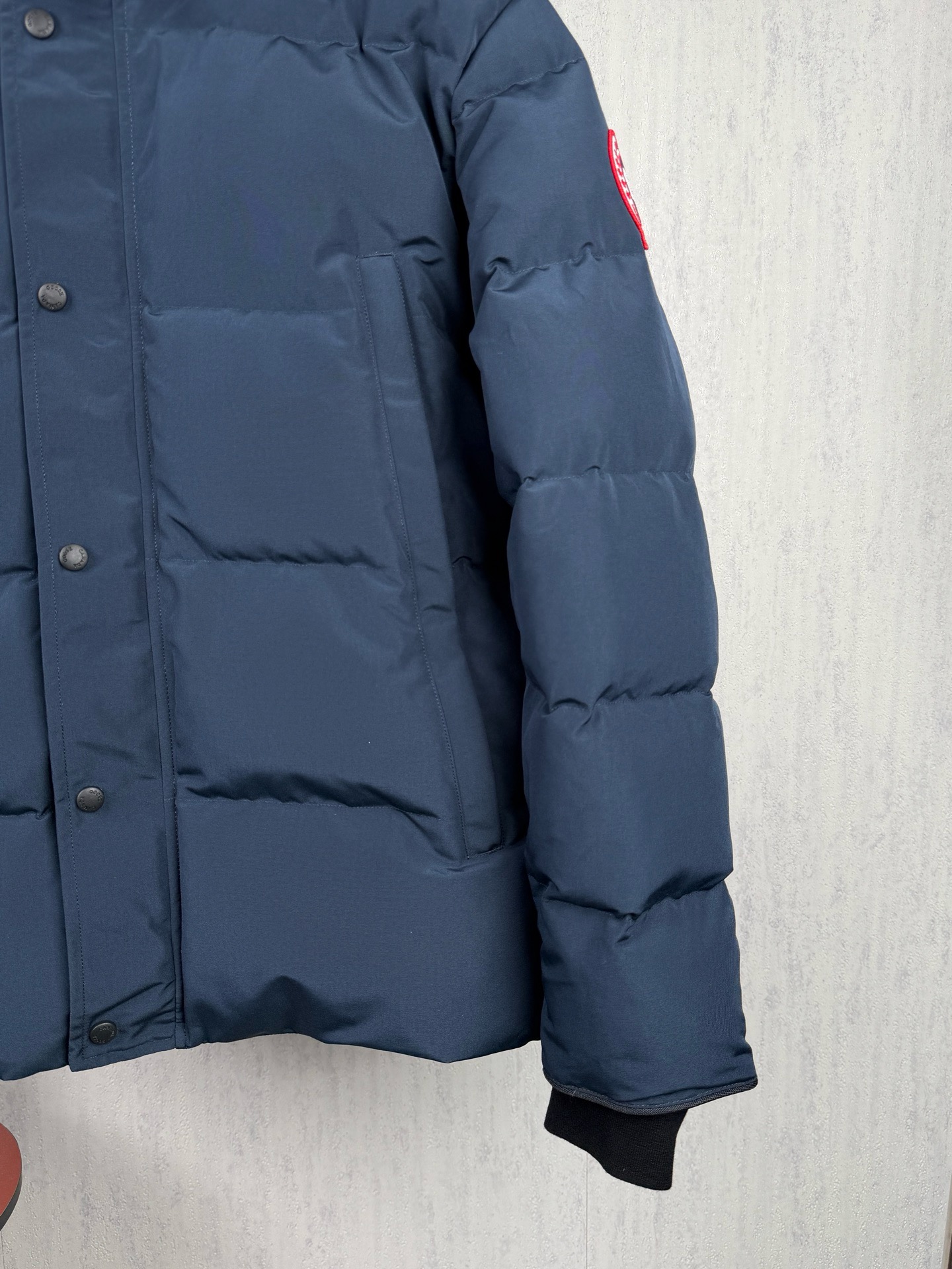 LZY20  Canada goose 大鹅29 · image 8