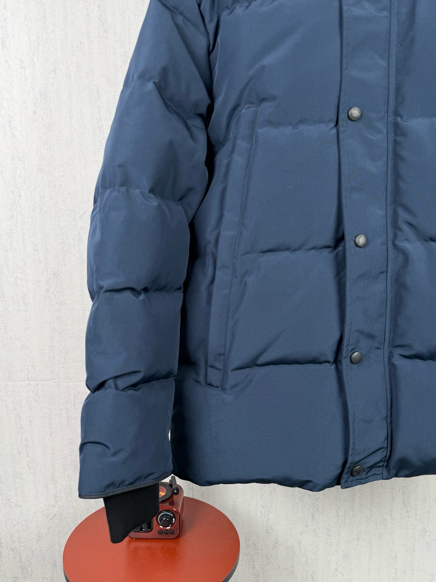 LZY20  Canada goose 大鹅29 · image 9