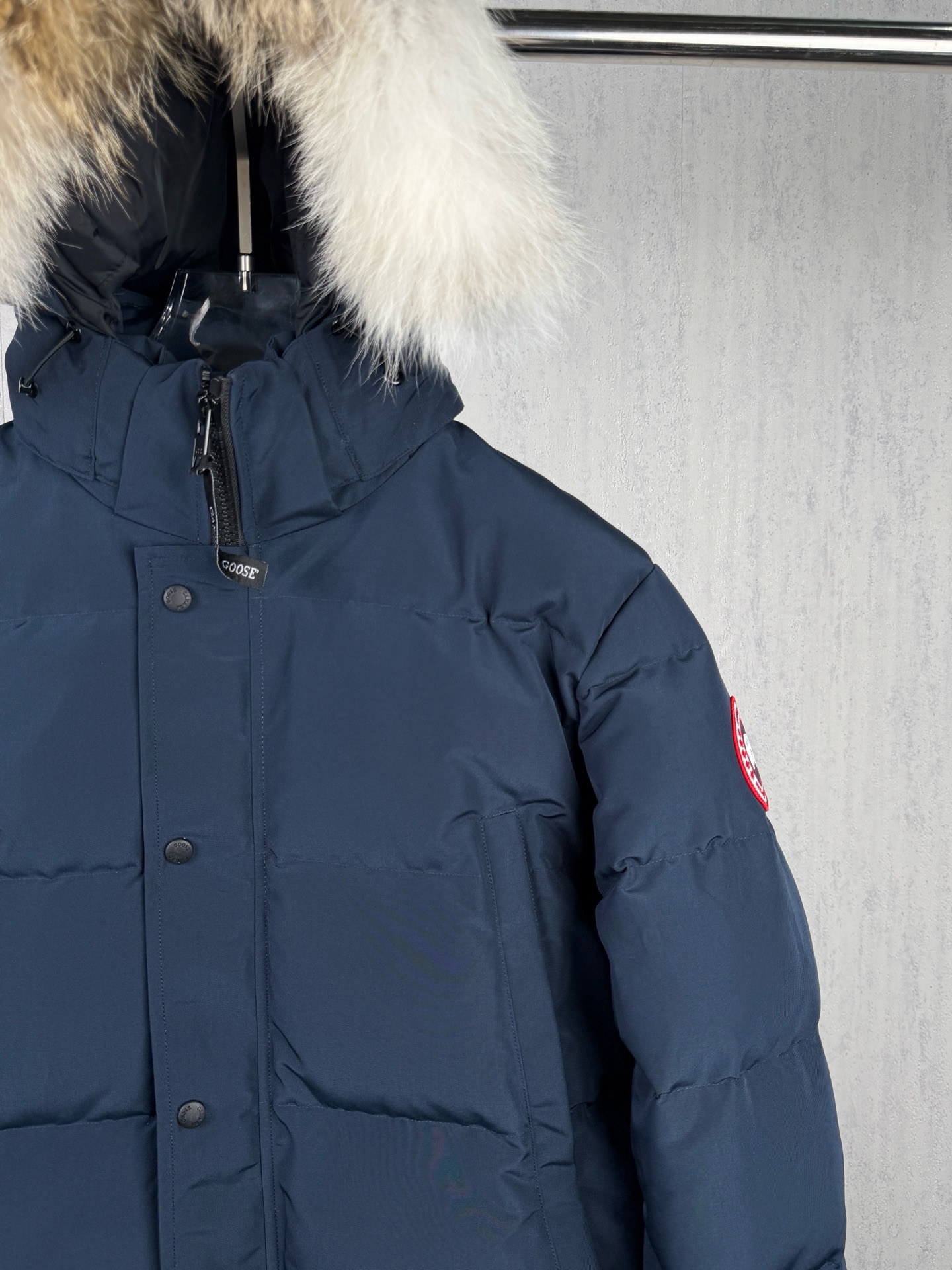 LZY20  Canada goose 大鹅29 · image 10