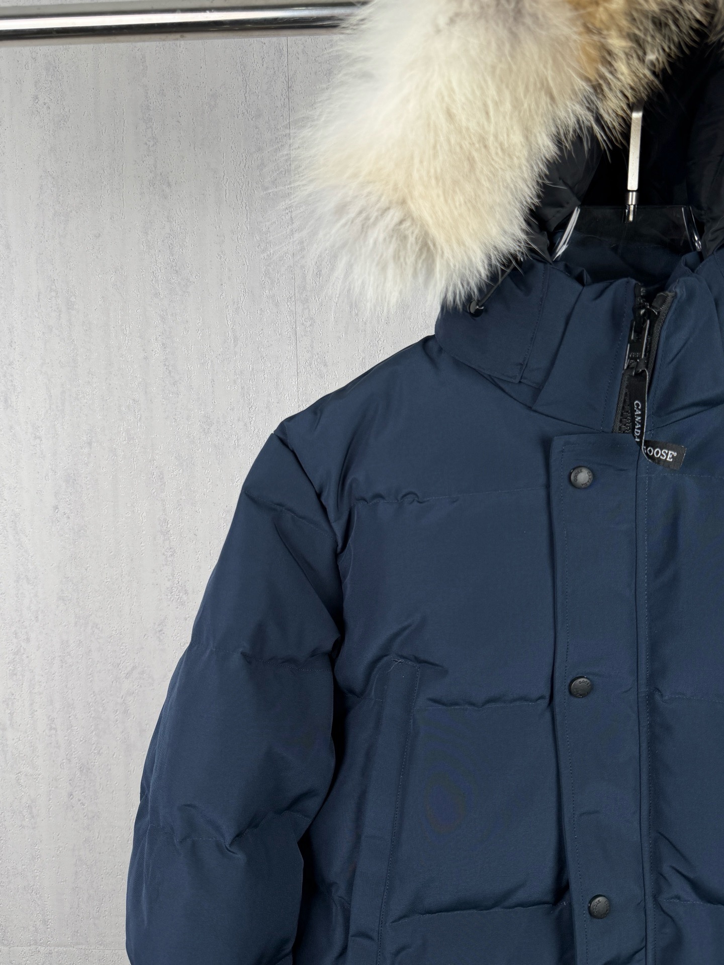 LZY20  Canada goose 大鹅29 · image 11