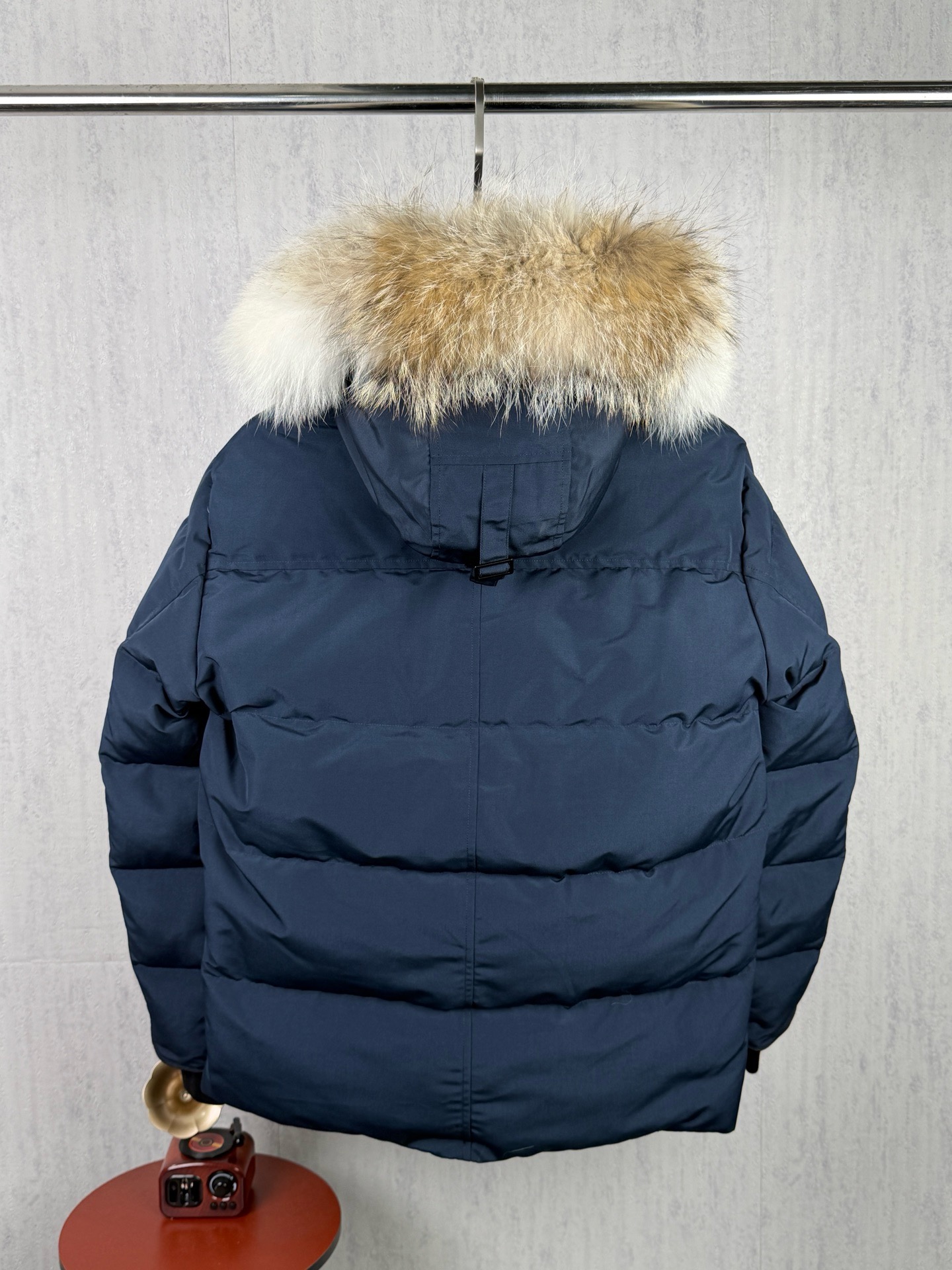 LZY20  Canada goose 大鹅29 · image 13