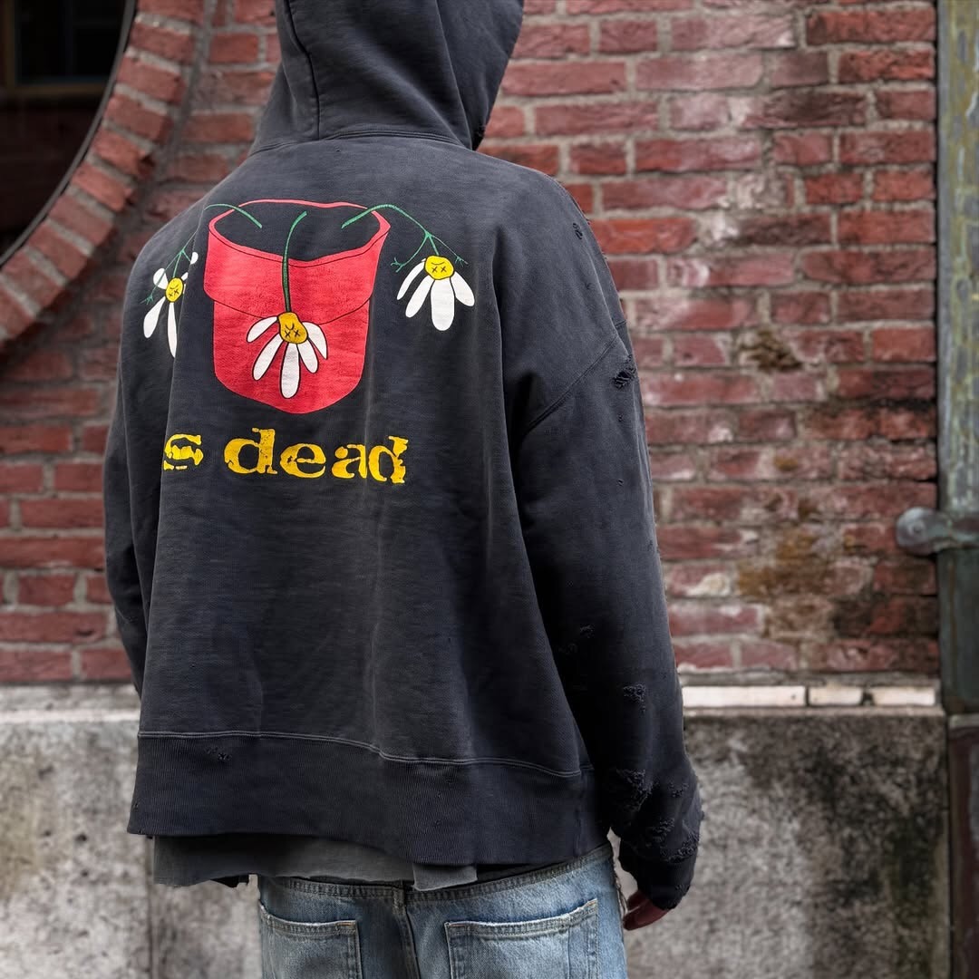 P369 Potted printed vintage hoodie · image 29