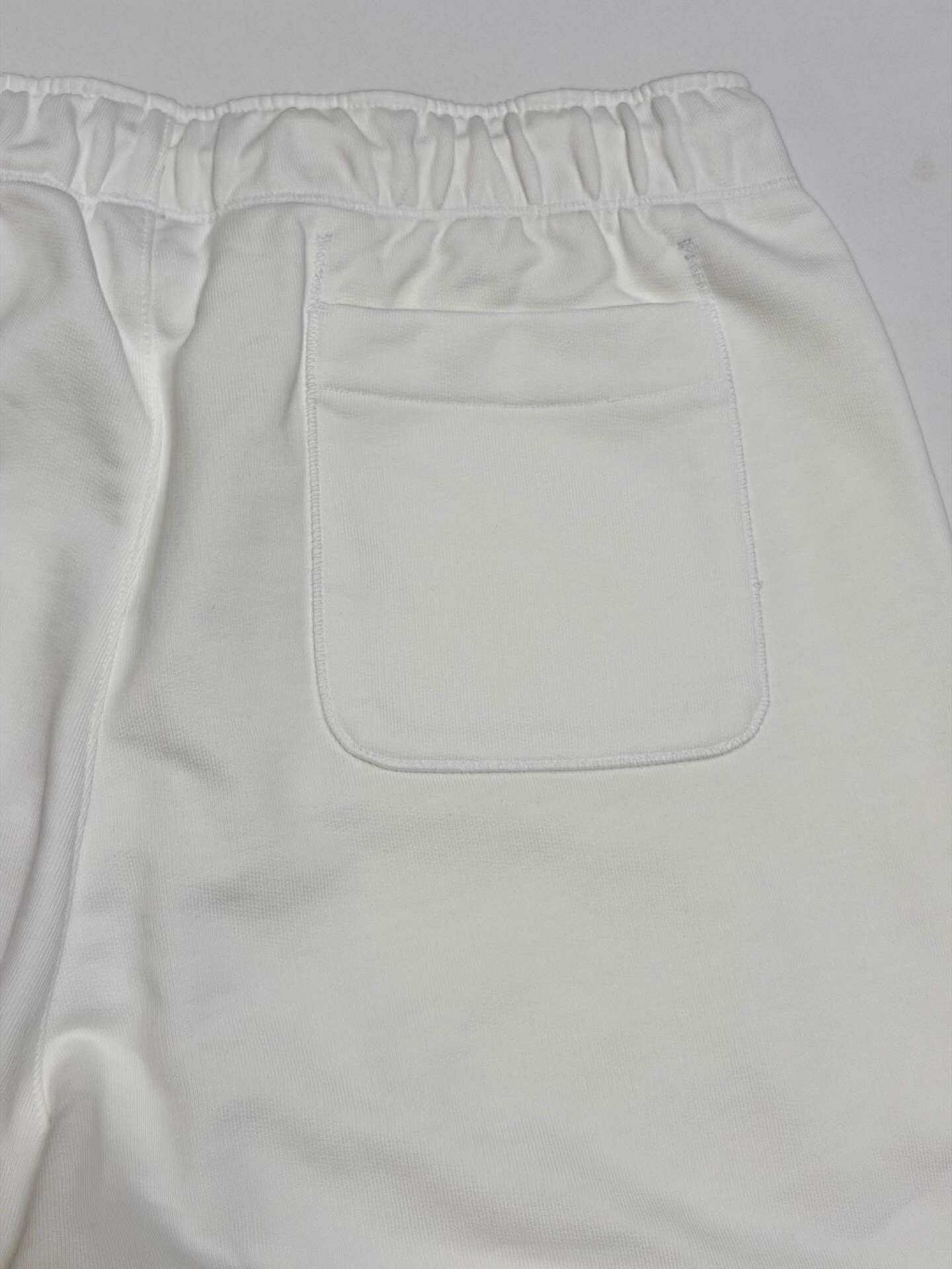 P249 AJ x SA FLC Pant (white) · image 11